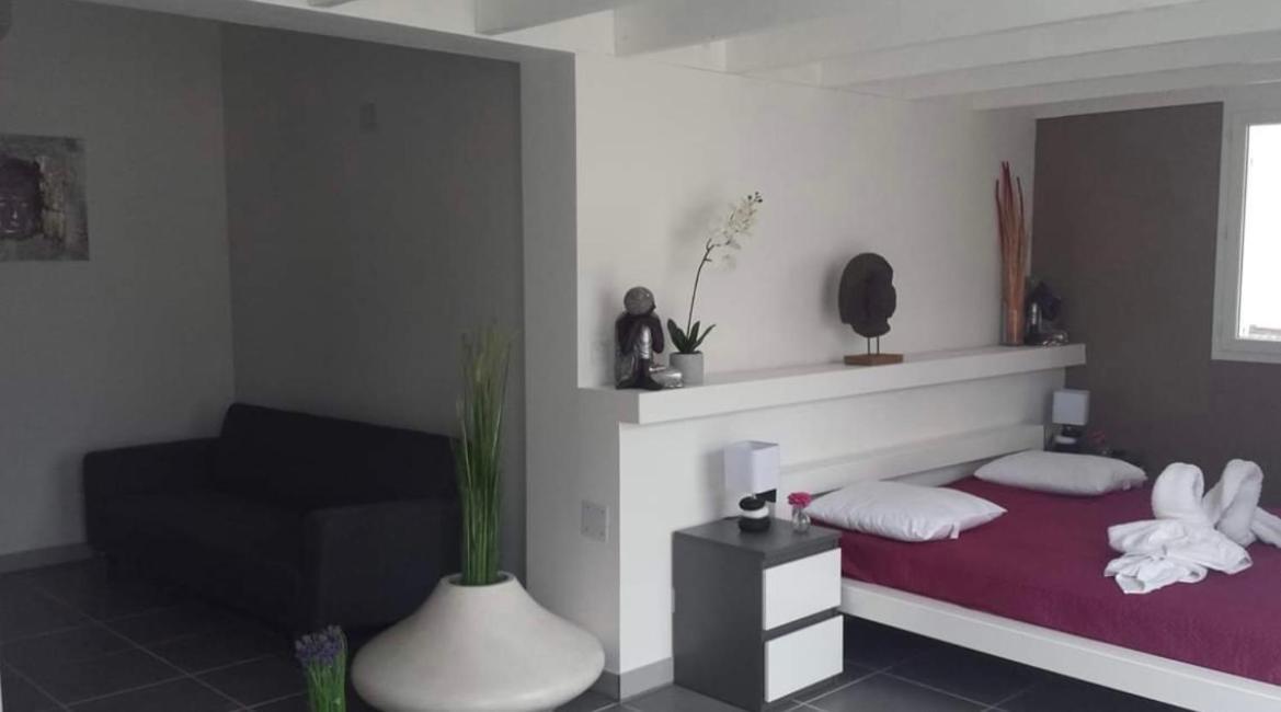Mas La Farelle Gite, Fitness & Salle De Jeux Gratuite & Spa En Supplement Nîmes Buitenkant foto